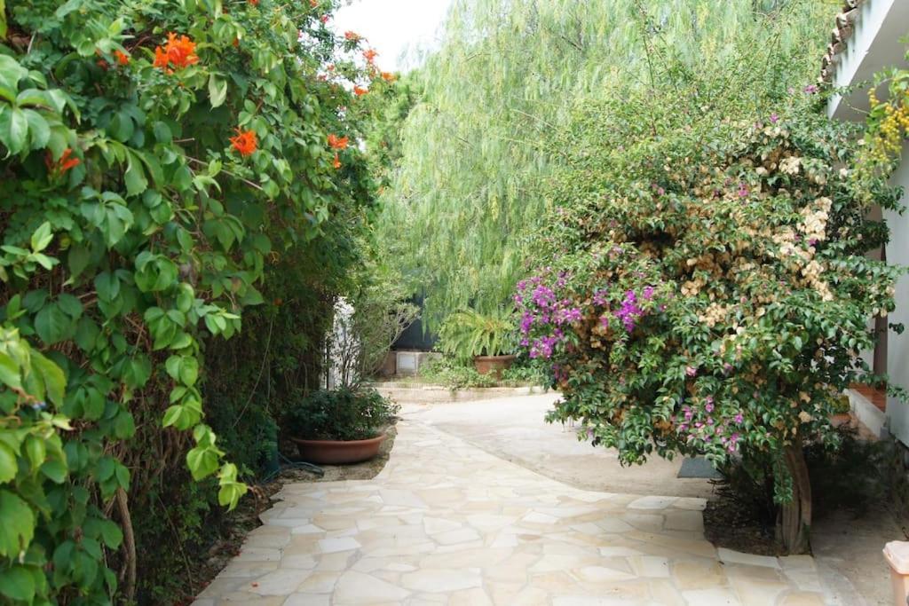 טורה דלה סטלה Villa Acquario מראה חיצוני תמונה